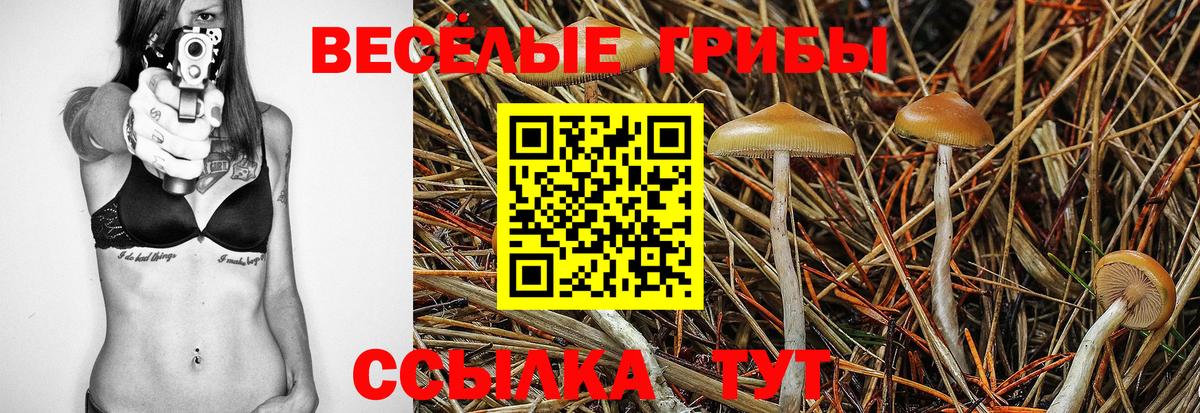 Гусев  купить  сайты  Псилоцибиновые грибы ЛСД  Вход с VPN  Галлюциногенные грибы мицелий 
