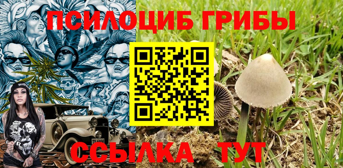 Галлюциногенные грибы ЛСД Гусев